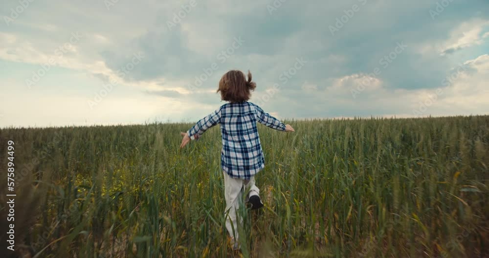 A happy child has melted hands and is flying across the field. The girl runs on the green grass. The concept of family happiness and freedom. High quality 4k footage A happy child has melted hands and is flying across the field. The girl runs on the green grass. The concept of family happiness and freedom. High quality 4k footage
