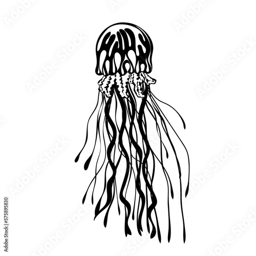 Silhouette of Jellyfish. Marine dweller. Concept of sea and ocean life. Vector illustration