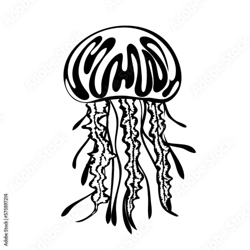 Silhouette of Jellyfish. Marine dweller. Concept of sea and ocean life. Vector illustration