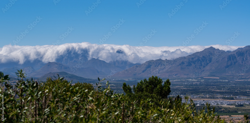 Fototapeta premium Wine growing area near the small industrial town of Paarl