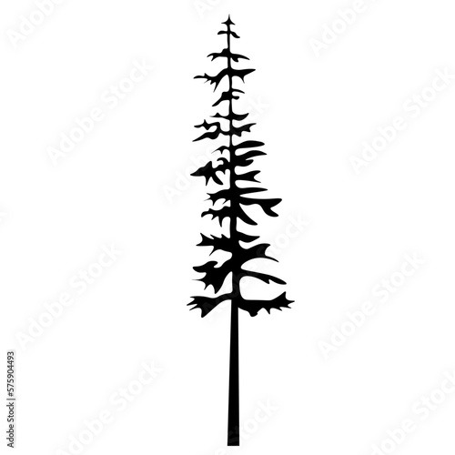 Forest woods trees vector illustration for logo - Black silhouette of spruce or fire tree, isolated on white background