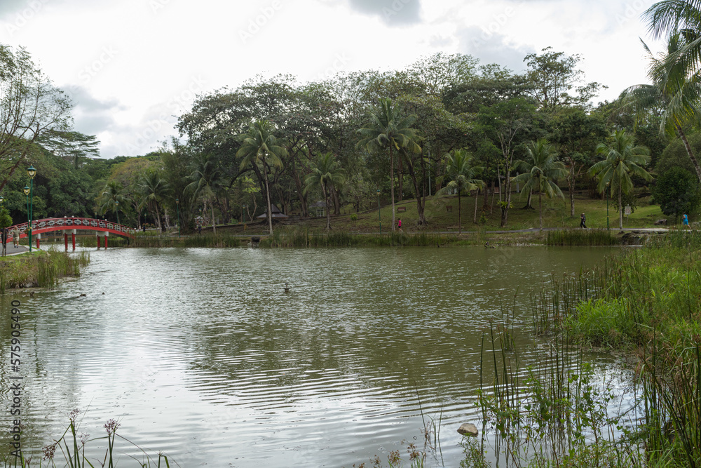 City park in Kuching, Malaysia, tropical garden with large trees and lawns, path, lake. City park in Kuching, Malaysia, tropical garden with large trees and lawns, path, lake.