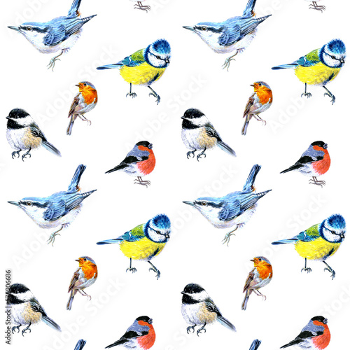 Seamless pattern of birds drawn with markers. Tits, nuthatch, bullfinch, robin and chickadees. On a white background. For fabric, sketchbook, wallpaper, wrapping paper.