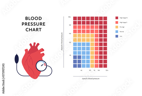 Blood pressure infographic. Vector flat illustration. Health care hypertension chart isolated on white background. Grid with low, normal, high level and heart organ. Design for healthcare, cardiology. photo