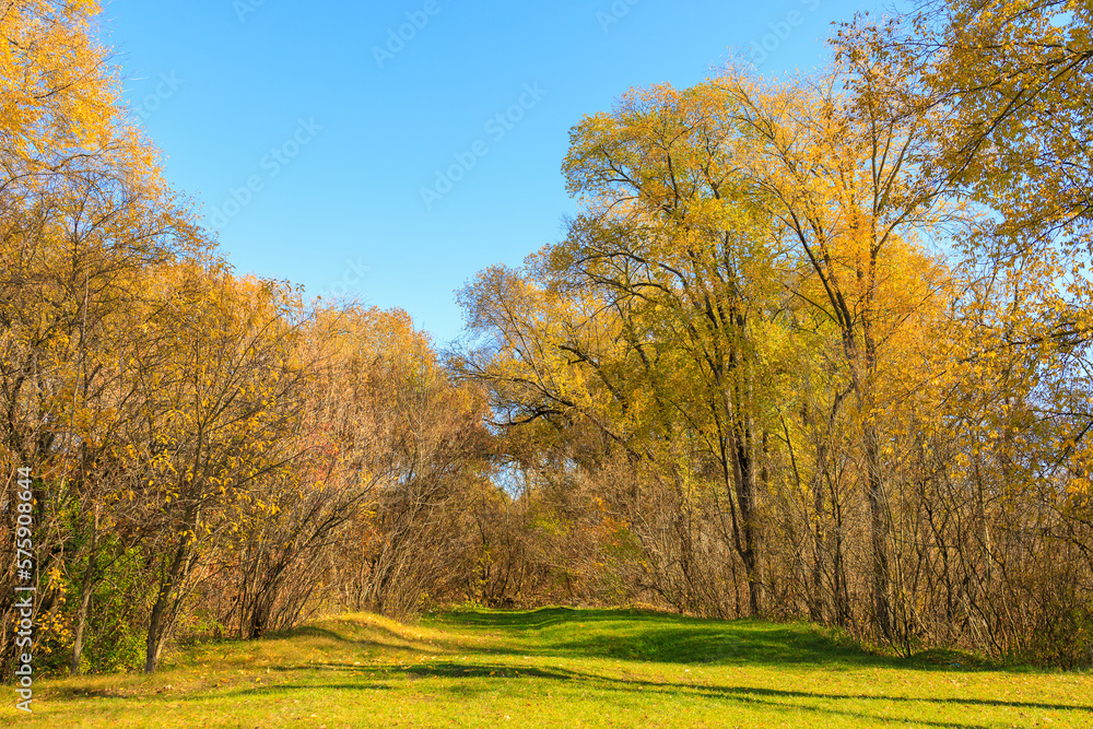 Abstract autumn seasonal background for weather forecast with selective focus and copy space