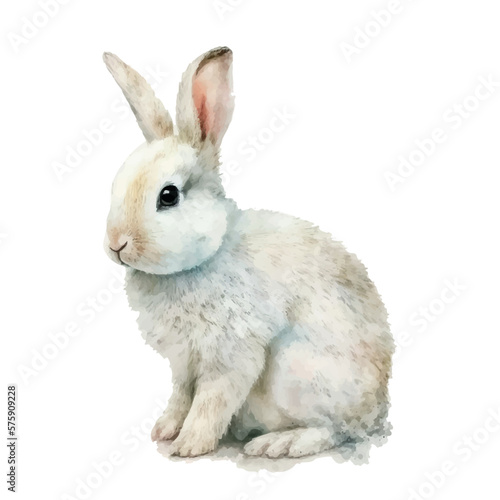 watercolor easter bunny rabbit on white bakground