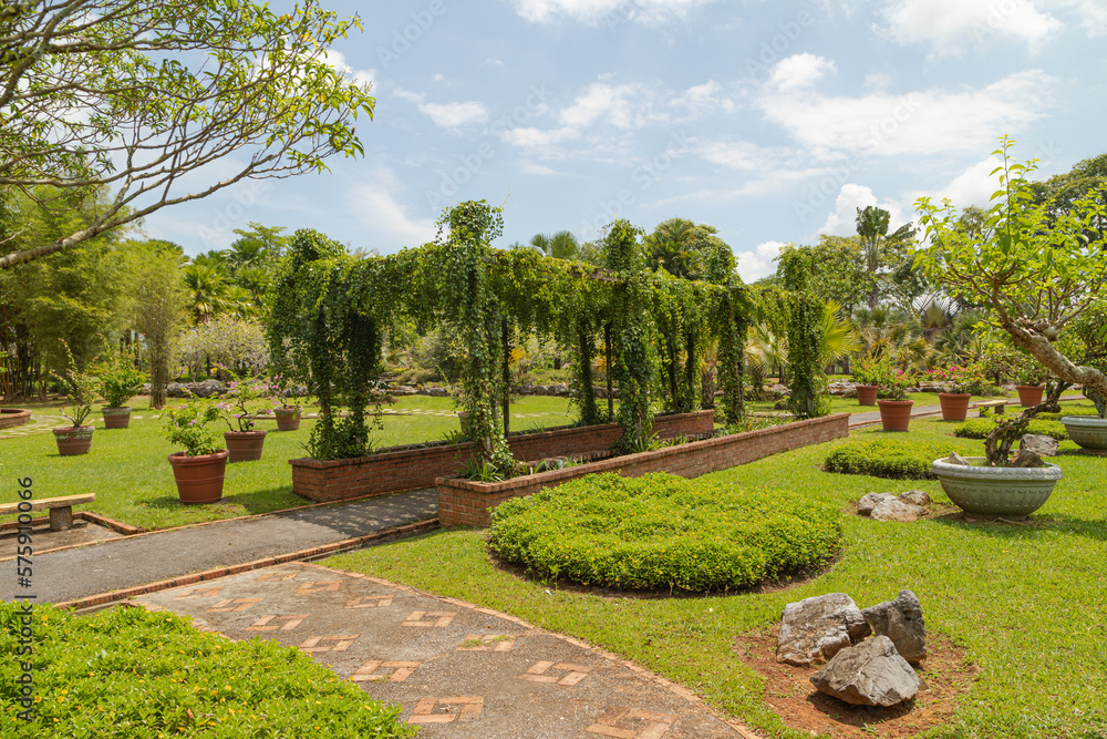 Palm collection in сity park in Kuching, Malaysia, tropical garden with large trees and lawns, stone composition, rockery. Palm collection in сity park in Kuching, Malaysia, tropical garden with large trees and lawns, stone composition, rockery.