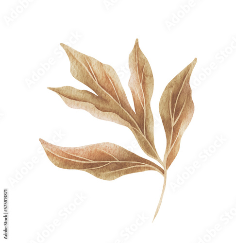 Watercolor exotic dry twig with gold textures. Hand painted boho leaves isolated on white background.
