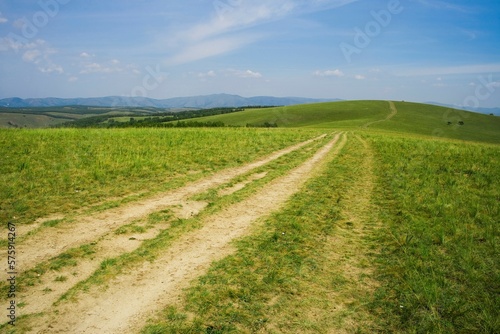 Bashang grassland in Inner Mongolia photo