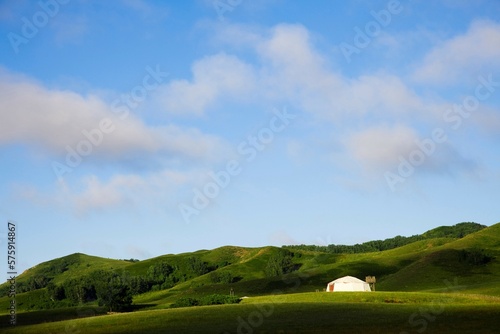 Bashang grassland in Inner Mongolia photo