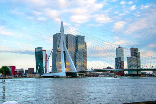 Bridge Rotterdam © M