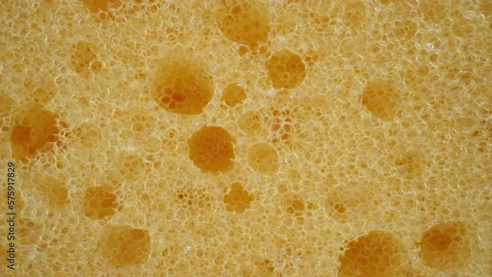 Macro dolly shot of kitchen sponge for washing dishes, detailed porous foam texture, close-up yellow sponge for washing and cleaning, structure sponge texture Macro dolly shot of kitchen sponge for washing dishes, detailed porous foam texture, close-up yellow sponge for washing and cleaning, structure sponge texture
