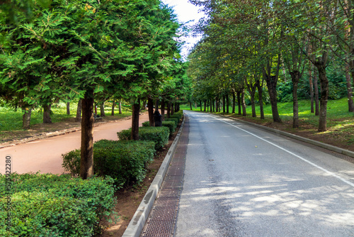 Bike path in a beautiful park in autumn