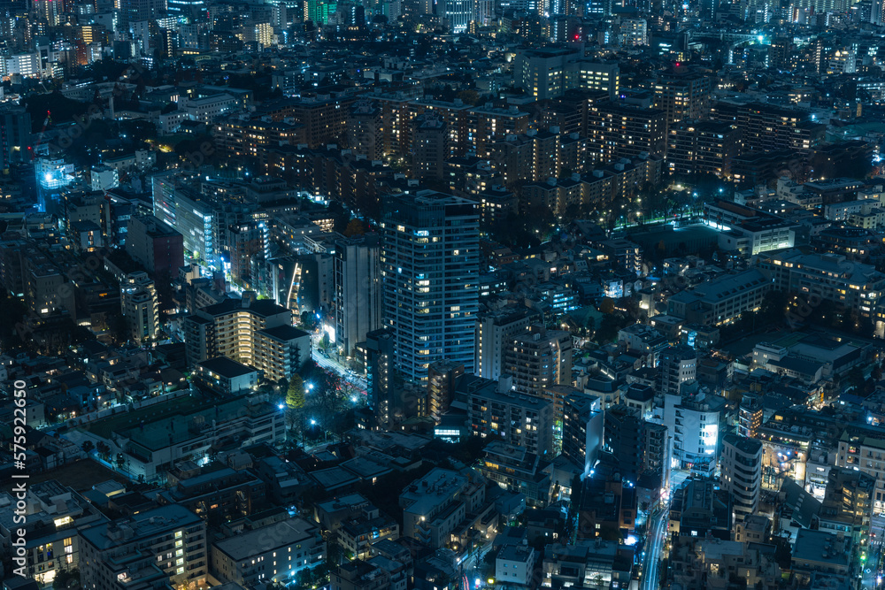 日本　東京都港区の六本木ヒルズの展望台から眺める東京の夜景