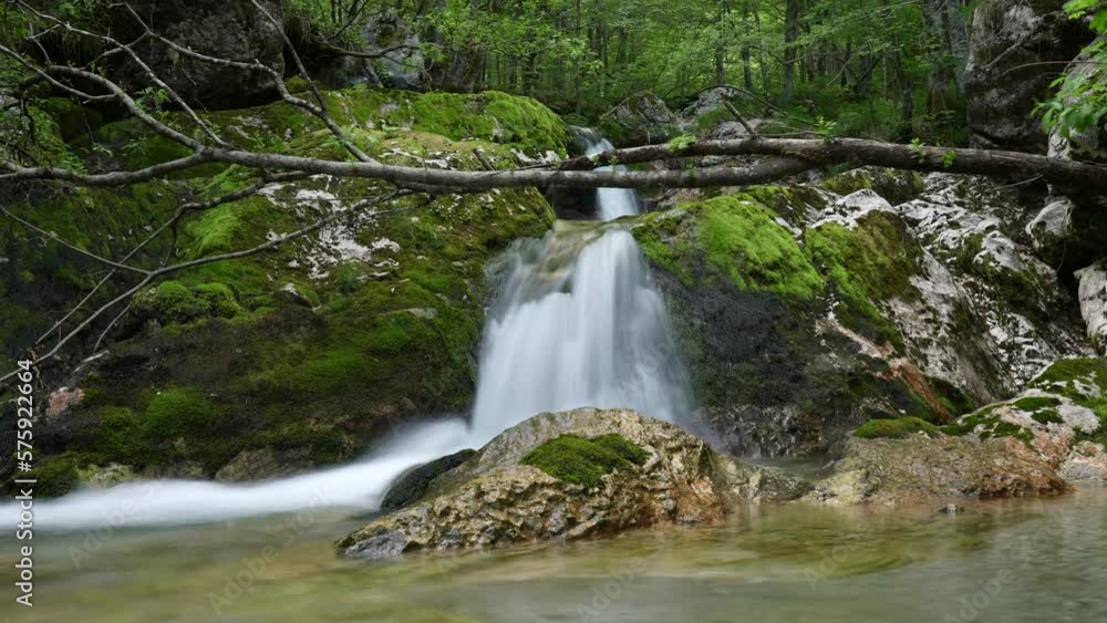 Long exposure time lapse of water flowing in a forest stream Long exposure time lapse of water flowing in a forest stream
