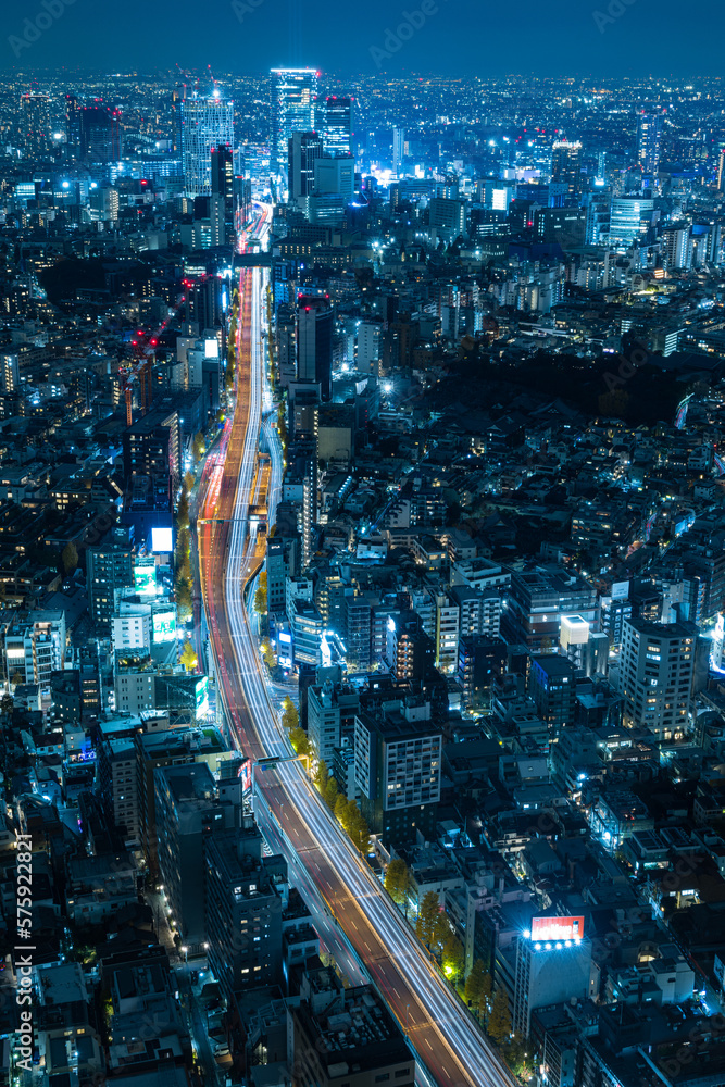 Fototapeta premium 日本 東京都港区の六本木ヒルズの展望台から眺める東京の夜景