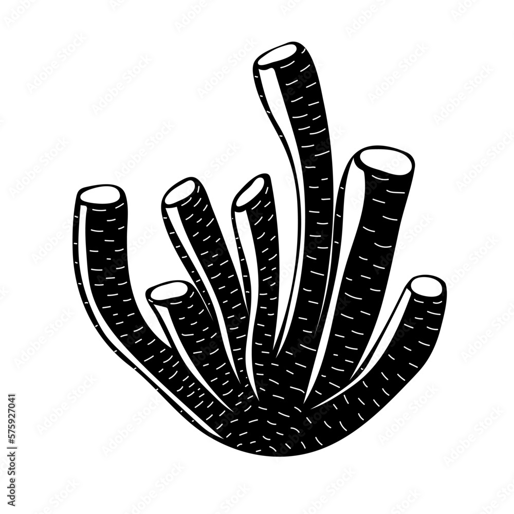 Silhouette of coral or seaweed. Botanical Illustration. Underwater flora, sea plant. Concept of sea and ocean life. Vector illustration Silhouette of coral or seaweed. Botanical Illustration. Underwater flora, sea plant. Concept of sea and ocean life. Vector illustration