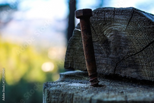 Clavo sobre barandilla de madera en el bosque