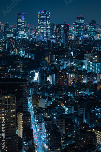 日本 東京都渋谷区の恵比寿ガーデンプレイスタワーのスカイラウンジから眺める東京の夜景