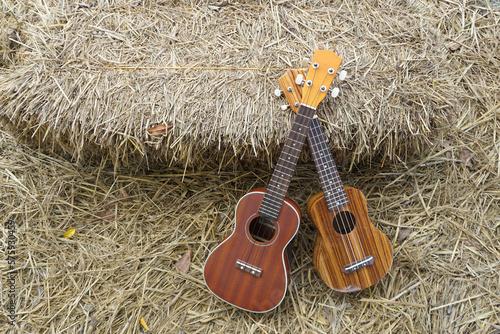 Music vintage concept of acoustic guitars on yellow hay surface background texture with empty space for copy or text without people