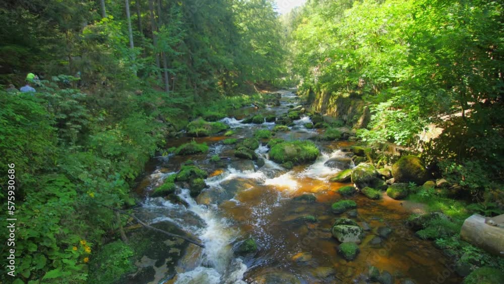 Flowing river through green mountain forest in summer, 50 fps slow motion Flowing river through green mountain forest in summer, 50 fps slow motion