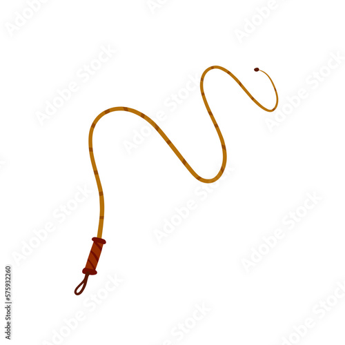 Whip for training an animal. Long cord.