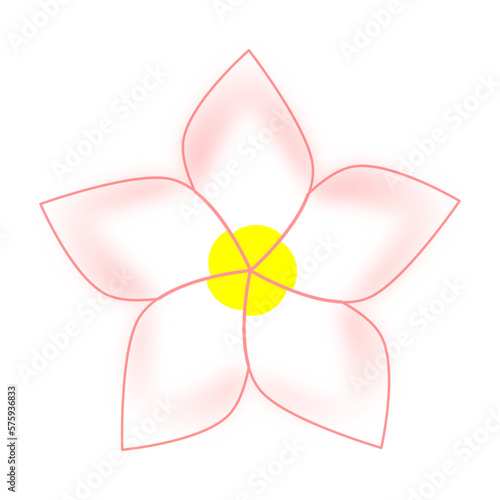 Frangipani or Plumeria Flower