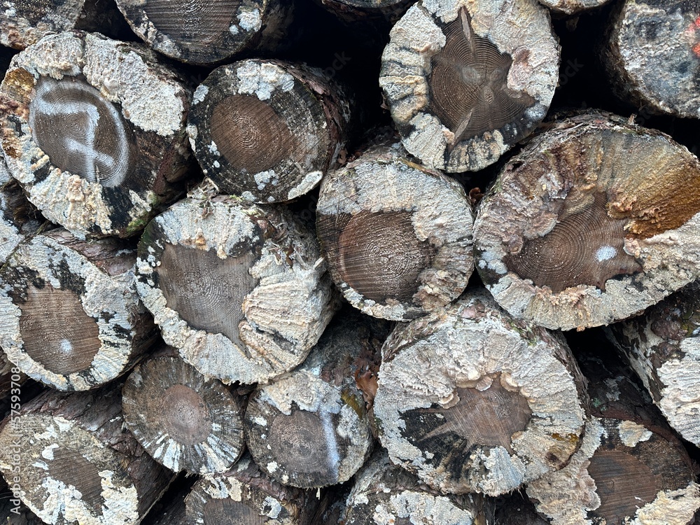 stack of firewood
