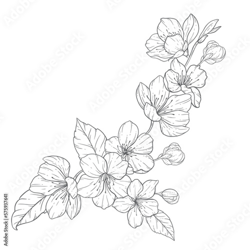 Floral Line Art, Sakura Flower Outline Illustration Set. Hand Painted Doodle Flowers. Perfect for wedding invitations, bridal shower and floral greeting cards. Black and white stencil flowers isolated