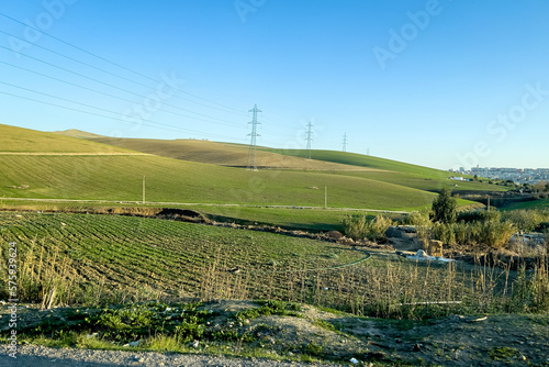 Electricity network poles on a rural area with a green field
