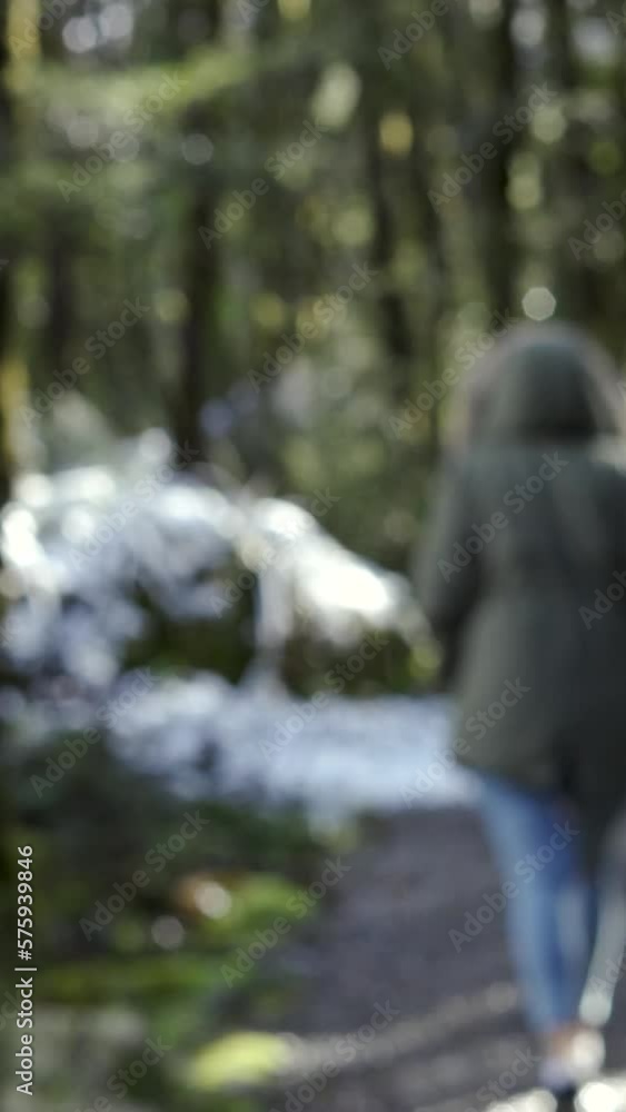 Woman with anorak walking under the rain through snowy forest path in winter Woman with anorak walking under the rain through snowy forest path in winter