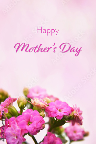  Mothers Day card with kalanchoe flowers on pink background. Mothers Day flowers.