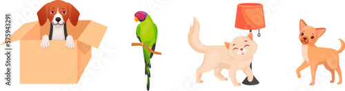 Cartoon adoption pets. Adopted home pet, adoption homeless dogs rescue animal friends from shelter, puppy dog in box, adopt care petting cat and adorable bird vector illustration