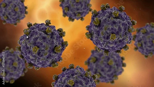 Microscopic visualization of coxsackievirus photo