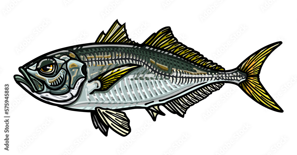 Fototapeta premium アジA