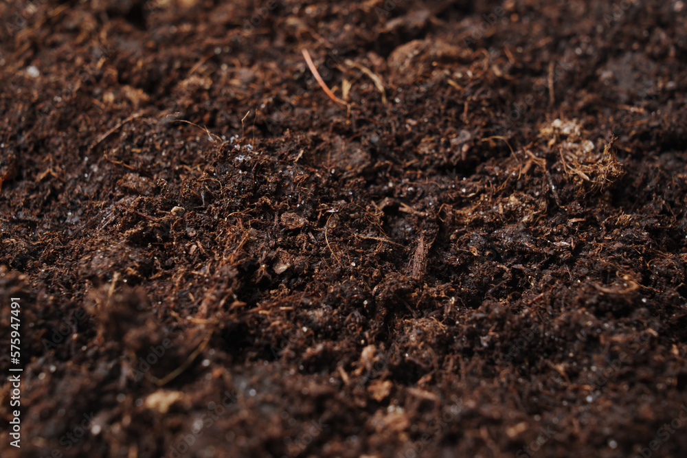 fertile soil for planting and growing plants. fertile soil for planting and growing plants.
