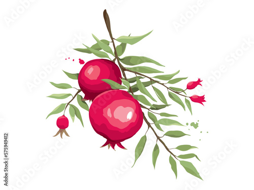 Summer card with pomegranate branch. Design elements with red fruits, vector illustration, label.	
