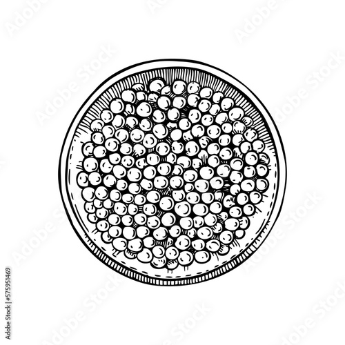Hand-drawn sketch of canned caviar isolated on a white background. Red caviar in opened tin can vector drawing in engraved style. Seafood delicacy illustration for restaurant or finger food menu