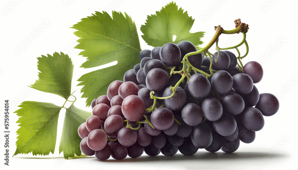 Fototapeta premium A bunch of grapes photoreal illustration on white background can easily be isolated vector