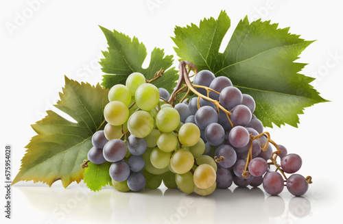 A bunch of grapes photoreal illustration on white background can easily be isolated vector