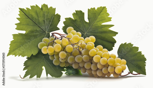 A bunch of grapes photoreal illustration on white background can easily be isolated vector