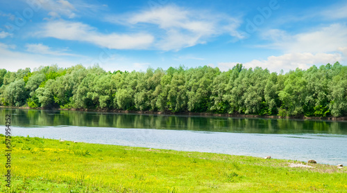 Fototapeta Naklejka Na Ścianę i Meble -  River with forest and meadow on the bank. Wide photo.