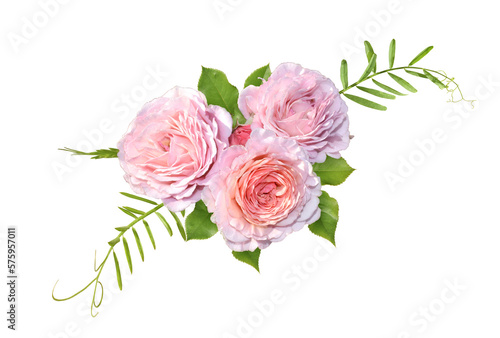 Bouquet of pink roses isolated on transparent background.  Flower composition , flowers with green leaves. 
