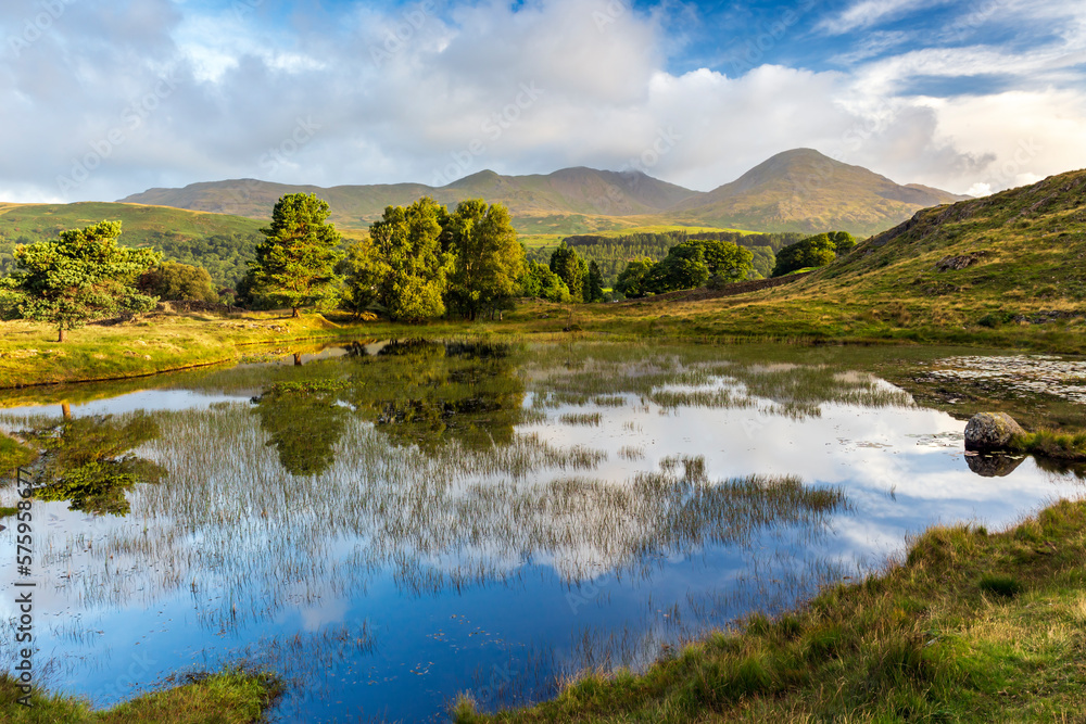 Fototapeta premium A beautiful summer morning at Kelly Hall Tarn near Torver in the Lake District National Park, with the Old Man of Coniston in the distance. 
