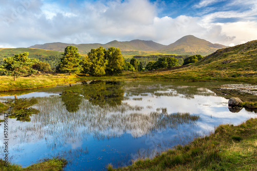 A beautiful summer morning at Kelly Hall Tarn near Torver in the Lake District National Park, with the Old Man of Coniston in the distance. 