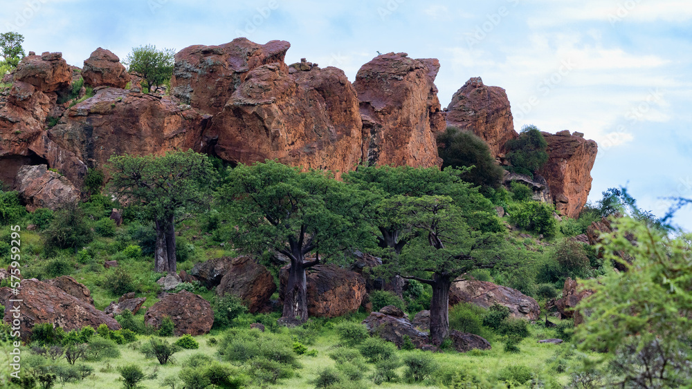 baobab trees and a rocky mountain