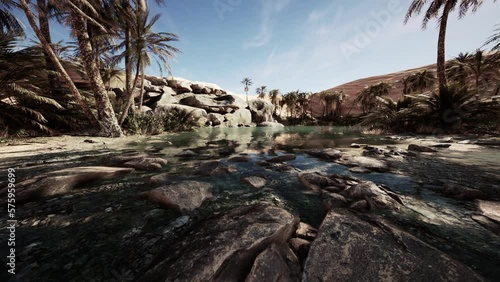 An desert oasis in the Oman photo