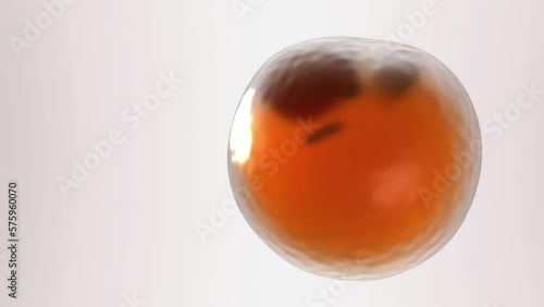 Adipose cell 3d model. Slow motion of white fat cell on light background with free space for text photo