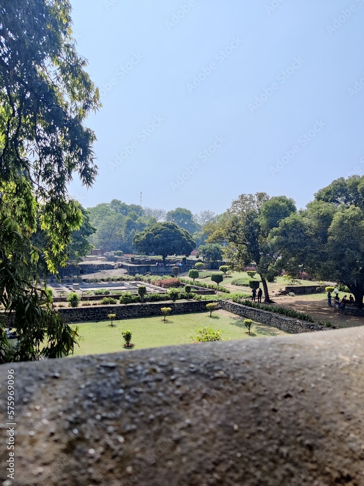 green lush garden