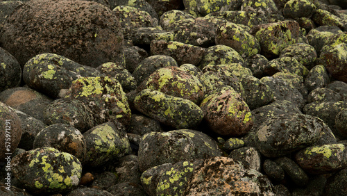 round stones on the seashore, overgrown with moss